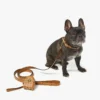 Portabolsas para mascotas con correa de muñeca en piel con estampado Monogram Portabolsas para mascotas con correa de muñeca en piel con estampado Monogram